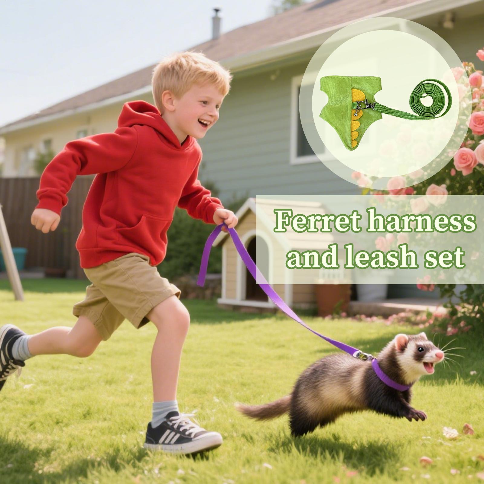 Verstelbare kleine huisdieren  - Outdoor Adventure Walks recensie en prijs