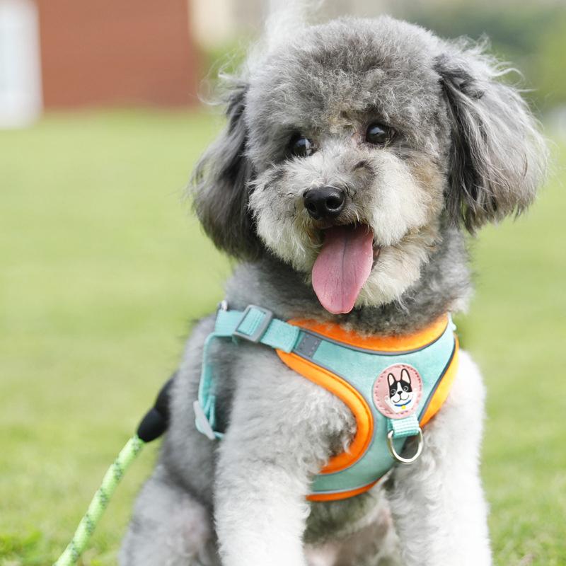 Lichtgewicht verstelbare honde - Outdoor Adventure Walks recensie en prijs