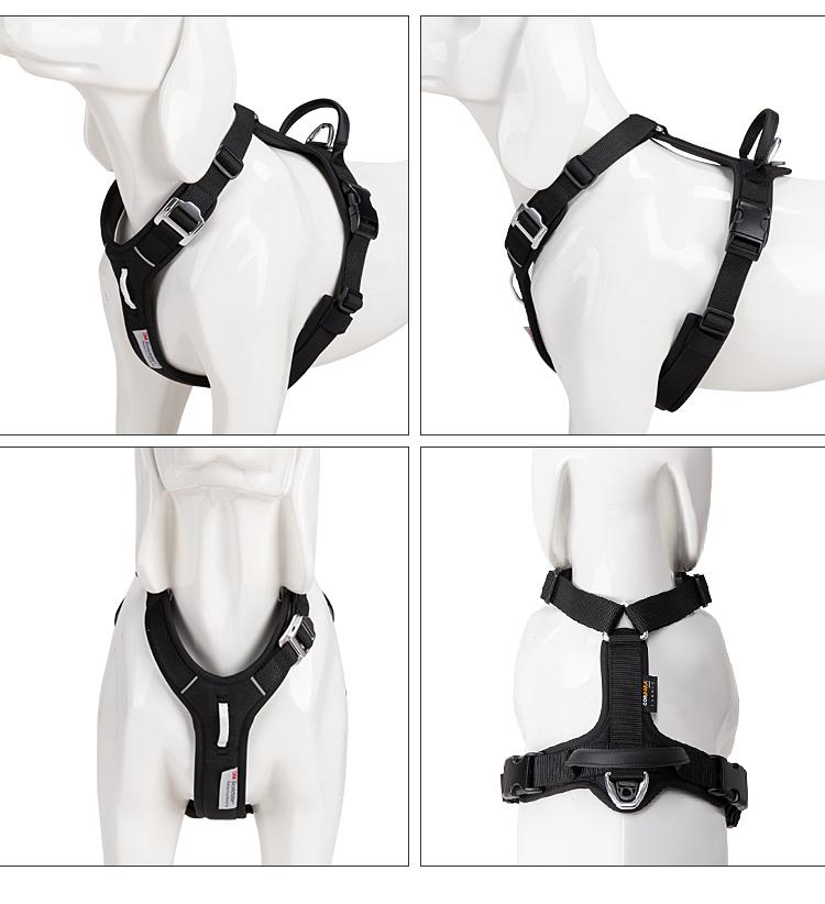 Verstelbaar explosiebestendig  - Outdoor Adventure Walks recensie en prijs